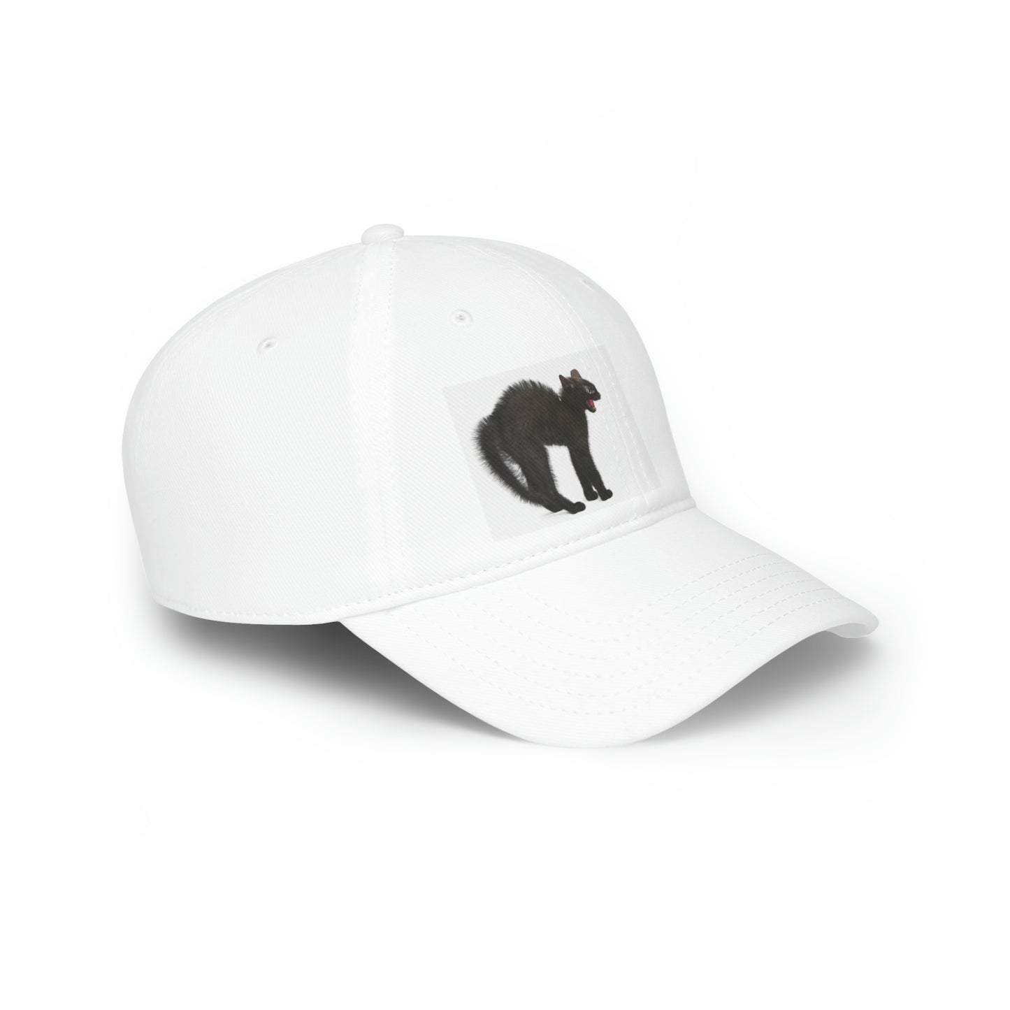Low Profile Baseball Cap
