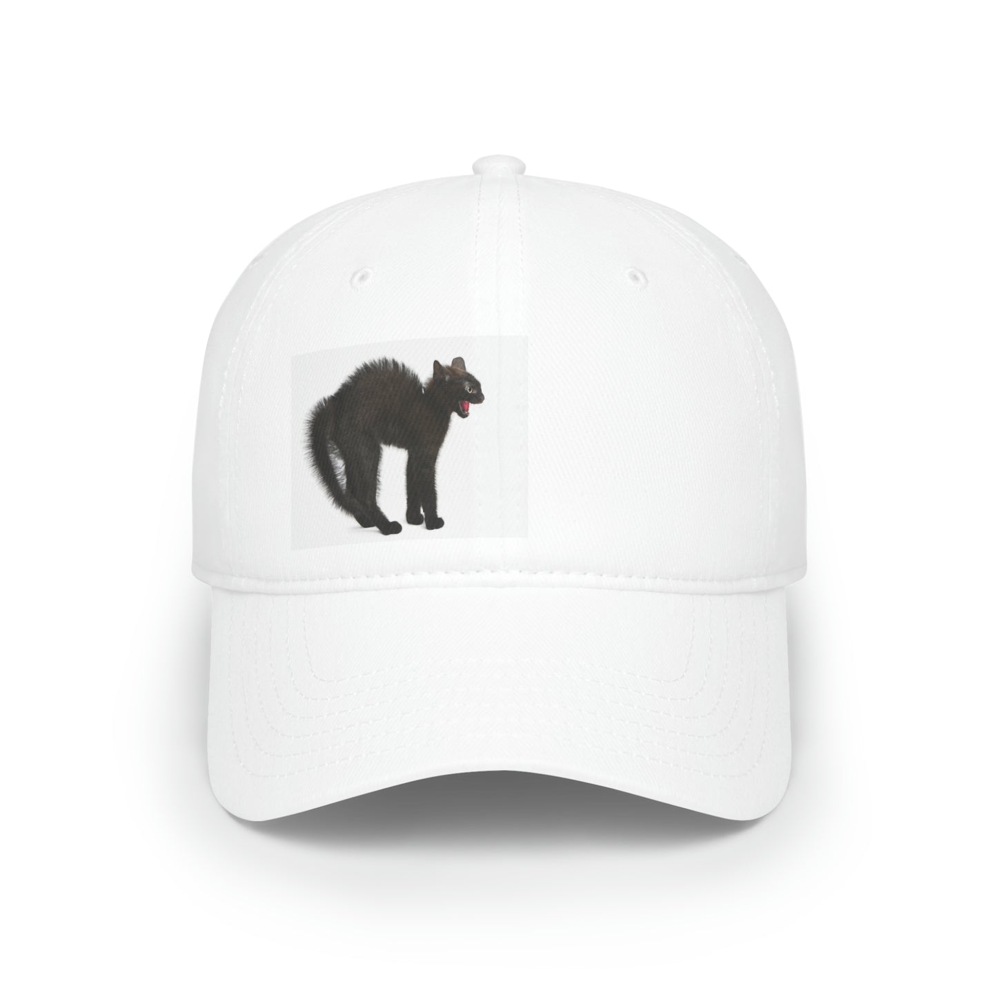 Low Profile Baseball Cap