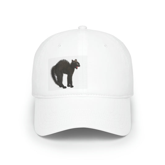 Low Profile Baseball Cap